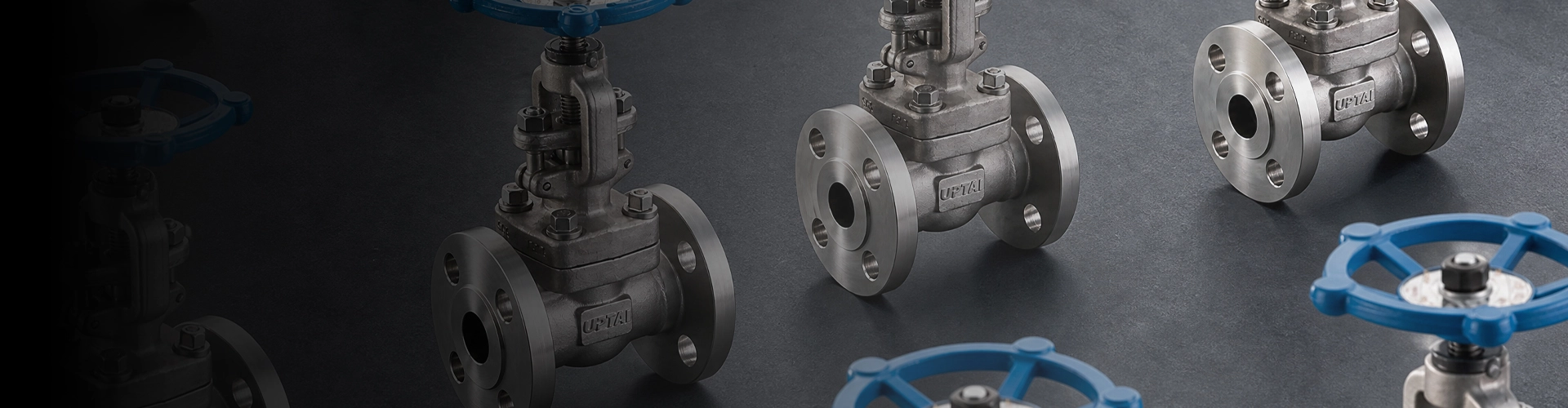 Globe Valve